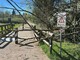 Alberi caduti sulla ciclabile del lago gli scorsi giorni per il vento forte Alberi caduti sulla ciclabile del lago gli scorsi giorni per il vento forte