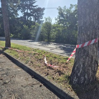 Castellanza: «Dopo questa tragedia affrontiamo il problema sicurezza con serietà e concretezza» Castellanza: «Dopo questa tragedia affrontiamo il problema sicurezza con serietà e concretezza»