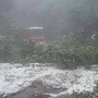 Maltempo in Lombardia, vigili del fuoco ancora in azione per alberi pericolanti, allagamenti e dissesti. Soprattutto a Milano Maltempo in Lombardia, vigili del fuoco ancora in azione per alberi pericolanti, allagamenti e dissesti. Soprattutto a Milano