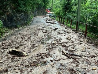 Lo smottamento sulla Sp 8 a Vararo di Cittiglio (foto gentilmente concessa di Laveno Mombello e dintorni) Lo smottamento sulla Sp 8 a Vararo di Cittiglio (foto gentilmente concessa di Laveno Mombello e dintorni)