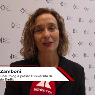 Alzheimer: Zamboni (UniMore), 'farmaci recenti puntano la proteina responsabile patologia'