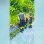Cucciolo di cane abbandonato, Vigili del Fuoco lo recuperano a 2 metri di profondità Cucciolo di cane abbandonato, Vigili del Fuoco lo recuperano a 2 metri di profondità