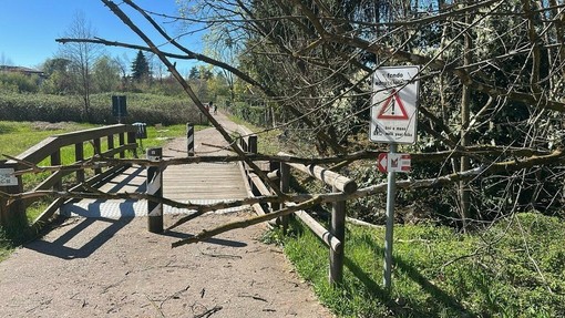 Alberi caduti sulla ciclabile del lago gli scorsi giorni per il vento forte Alberi caduti sulla ciclabile del lago gli scorsi giorni per il vento forte