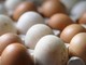 Rischio salmonella, ritirato lotto di uova Selex