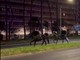 Cavalli in fuga a Roma, 4 vigili urbani fuori dalla parate del 2 giugno Cavalli in fuga a Roma, 4 vigili urbani fuori dalla parate del 2 giugno