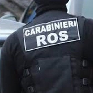 Blitz contro la ‘Ndrangheta nel Cosentino, 41 arresti