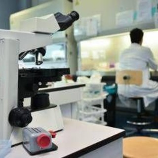 Morbo di Parkinson, 4 segnali prima del tremore: la ricerca