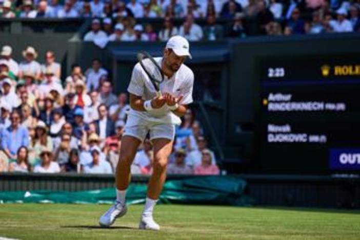 Wimbledon, Djokovic-Auger Aliassime - Diretta Wimbledon, Djokovic-Auger Aliassime - Diretta