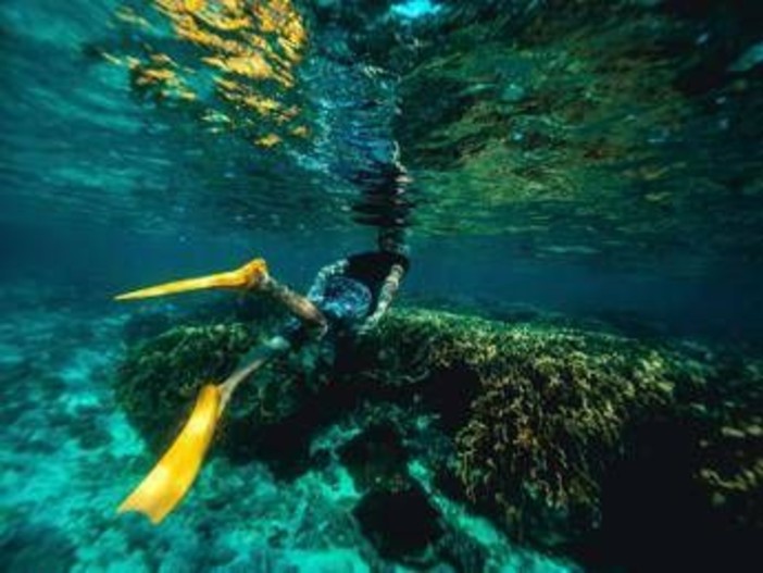 Italiani morti alle Maldive, l'ipotesi: "Uno in difficoltà, gli altri in soccorso"
