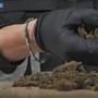 Maxi operazione della polizia: 1.335 arresti, sequestrati 450 kg di droga Maxi operazione della polizia: 1.335 arresti, sequestrati 450 kg di droga