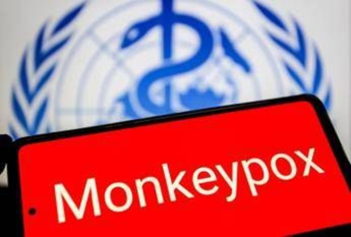 Vaiolo delle scimmie, Oms: "Mpox continua a circolare, a novembre 2.150 casi e 5 morti" Vaiolo delle scimmie, Oms: "Mpox continua a circolare, a novembre 2.150 casi e 5 morti"