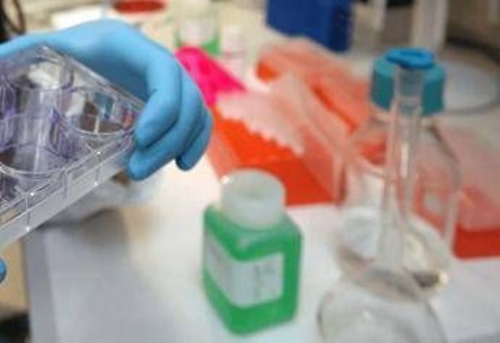 Cancro alla vescica, Berardi (Aiom): "Sangue nelle urine segnale da non sottovalutare"
