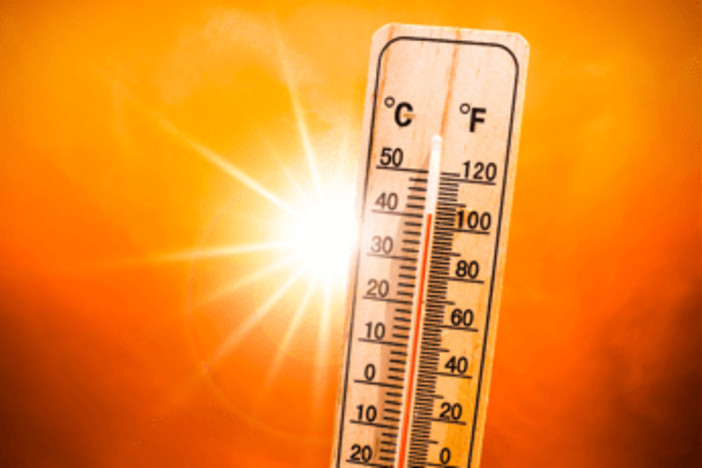 Caldo, l'avvertimento di Pregliasco: "38°C in molte città, ma il vero nemico è l'umidità" Caldo, l'avvertimento di Pregliasco: "38°C in molte città, ma il vero nemico è l'umidità"