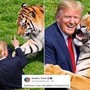 Uomo sbranato da una tigre, Trump posta il video: "Non si scherza con la natura". Poi pubblica la parodia con IA Uomo sbranato da una tigre, Trump posta il video: "Non si scherza con la natura". Poi pubblica la parodia con IA