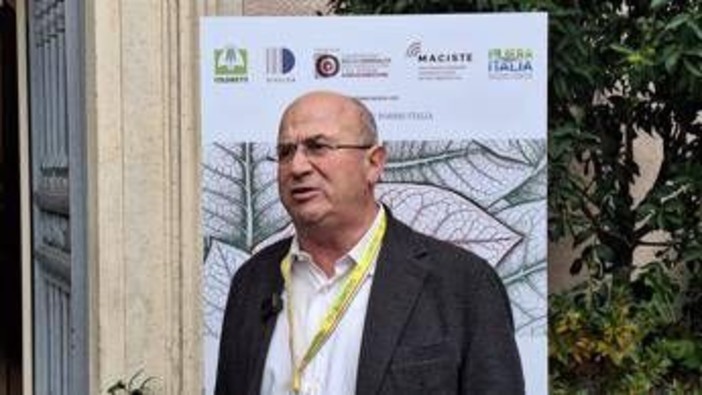 Tabacco, Trippella (Filiera tabacchicola italiana): &quot;Rischio di arretrare con politiche europee&quot;