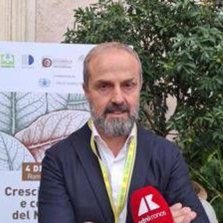 Tabacco, Masiello (Unitab Europa): &quot;Filiera italiana modello vincente da tutelare&quot;