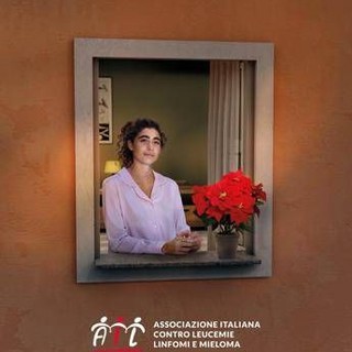 Lotta alle leucemie, tornano le stelle di Natale Ail per la ricerca