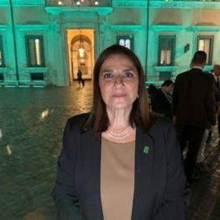 Malattie rare, Esposito (Aisla): "Da sempre al fianco di pazienti Sla e famiglie" Malattie rare, Esposito (Aisla): "Da sempre al fianco di pazienti Sla e famiglie"