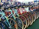 Mobilità, meno emissioni e più alberi con 'Magis bike Challenge'