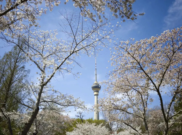 Pechino, quasi eliminate le giornate con livello “grave” di inquinamento Pechino, quasi eliminate le giornate con livello “grave” di inquinamento