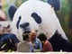 Cina, in aumento dell’11,3% i ricavi dell’industria pubblicitaria Cina, in aumento dell’11,3% i ricavi dell’industria pubblicitaria