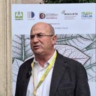 Tabacco, Trippella (Filiera tabacchicola italiana): &quot;Rischio di arretrare con politiche europee&quot;