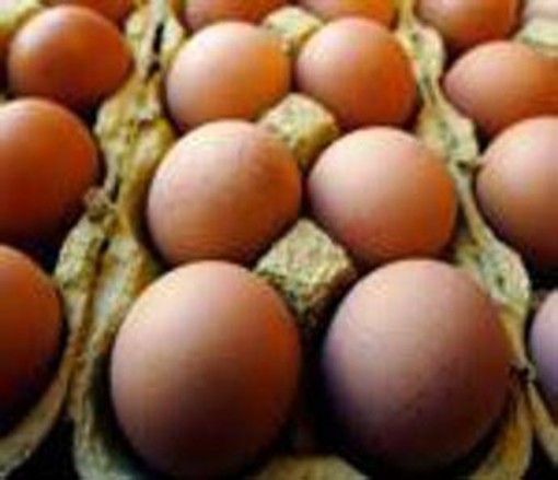 Richiamo uova biologiche per rischio Salmonella: lotti e scadenze