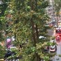Bomba d'acqua su Roma, il maltempo colpisce la capitale dopo mesi di afa record