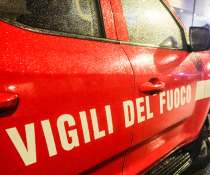 Leccio monumentale incendiato a Bagno a Ripoli, identificati 4 minori: volevano cuocere wurstel Leccio monumentale incendiato a Bagno a Ripoli, identificati 4 minori: volevano cuocere wurstel
