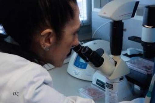 Malattie rare, scoperta nuova patologia genetica nei bimbi Malattie rare, scoperta nuova patologia genetica nei bimbi