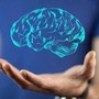 Il cervello cresce e invecchia, i 4 compleanni importanti per la mente: lo studio
