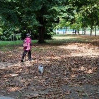 Meteo ottobre, l’Ottobrata conquista l’Italia: sole e temperature fino a 29°C