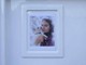 Pamela Genini, corpo profanato e decapitato: l'appello dei carabinieri per ricerca foto e video