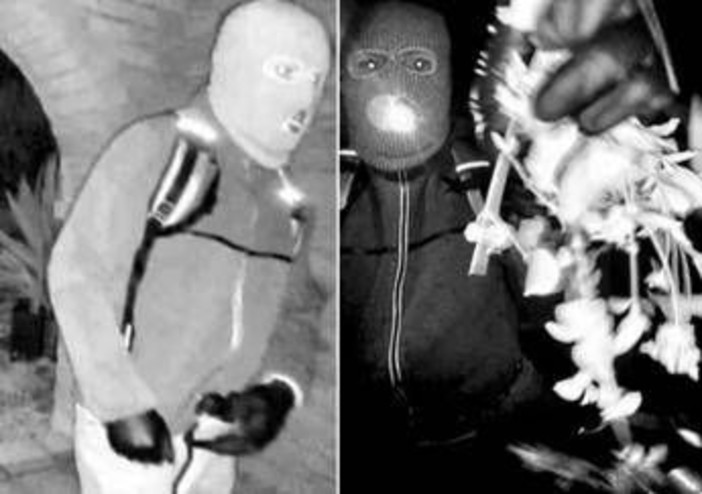 Usa, rapimento della madre di una conduttrice Nbc: caccia al sospetto, Fbi diffonde la foto