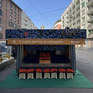 Giornata mondiale malattie rare, un'edicola di fiori per la campagna RareMeansCare Giornata mondiale malattie rare, un'edicola di fiori per la campagna RareMeansCare