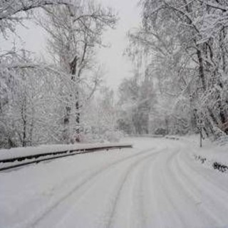 Bimbo lasciato a piedi dal bus, autista chiede scusa. Genitori: "La questione è chiusa"