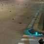 Capodanno, strage di uccelli a Roma ma la foto sui social è un fake