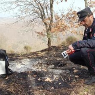 Incendi, Carabinieri Forestali: "98% causati dall'uomo, in primi 6 mesi 3800 ettari bruciati" Incendi, Carabinieri Forestali: "98% causati dall'uomo, in primi 6 mesi 3800 ettari bruciati"