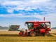 Cina, per la prima volta il raccolto di cereali estivi supera 150 mln tonnellate Cina, per la prima volta il raccolto di cereali estivi supera 150 mln tonnellate