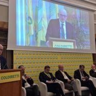 Tabacco, Rapporto Maciste: per mercato illecito rapida trasformazione digitale