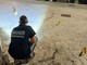 Trani, rissa tra giovani. Diciottenne muore accoltellato