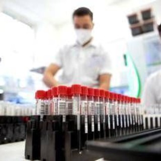 Covid, continua la risalita in Italia: contagi e morti nell'ultima settimana, il bollettino Covid, continua la risalita in Italia: contagi e morti nell'ultima settimana, il bollettino