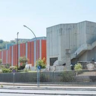 Furto delle opere di Antonello da Messina, museo riapre al pubblico: continuano le indagini