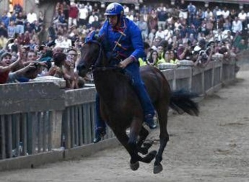 Palio Siena, notte tranquilla in ospedale per Tittia: condizioni in miglioramento Palio Siena, notte tranquilla in ospedale per Tittia: condizioni in miglioramento