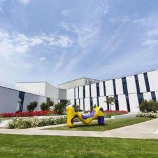 Farmaceutica, Merck: nel sito di Modugno-Bari nuova linea per farmaci iniettabili in siringa