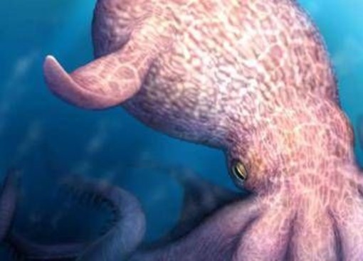 Il Kraken è esistito e dominava gli oceani, la scoperta sul 'mostro dei mari'