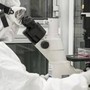 Nuovi virus creati con l'intelligenza artificiale: "E' una svolta per produrre farmaci e terapie" Nuovi virus creati con l'intelligenza artificiale: "E' una svolta per produrre farmaci e terapie"