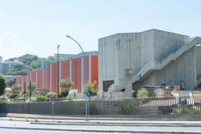 Furto delle opere di Antonello da Messina, museo riapre al pubblico: continuano le indagini Furto delle opere di Antonello da Messina, museo riapre al pubblico: continuano le indagini