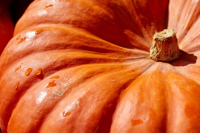 Bel tempo autunnale con giornate miti almeno fino a lunedì Bel tempo autunnale con giornate miti almeno fino a lunedì