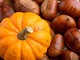 Zucche e castagne protagoniste degli eventi del fine settimana in provincia di Varese Zucche e castagne protagoniste degli eventi del fine settimana in provincia di Varese
